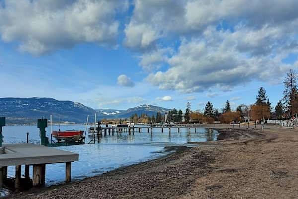 House sit in Kelowna, BC, Canada