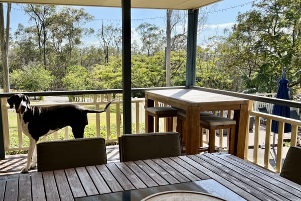 House sit in Logan City, QLD, Australia