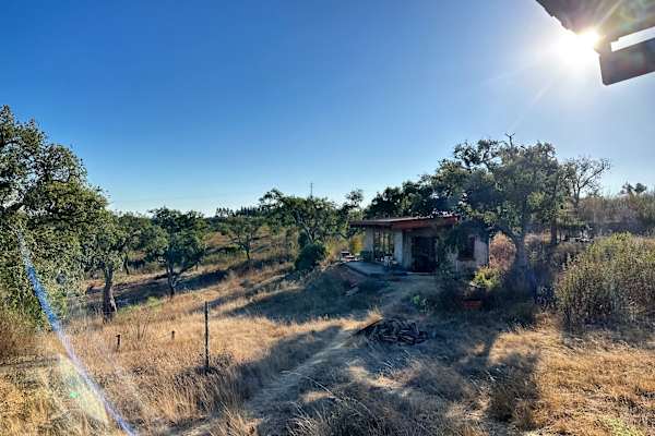 House sit in Roncão, Portugal