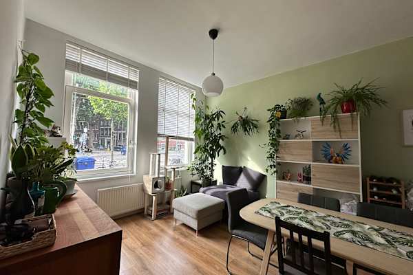 House sit in Rotterdam, Netherlands