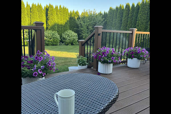 House sit in South Bend, IN, US