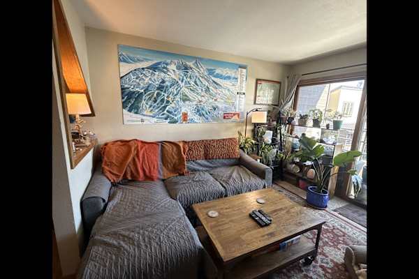 House sit in Mount Crested Butte, CO, US
