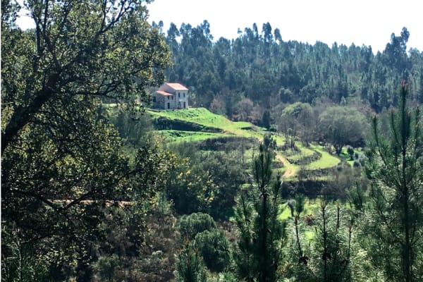 House sit in Carregal do Sal, Portugal