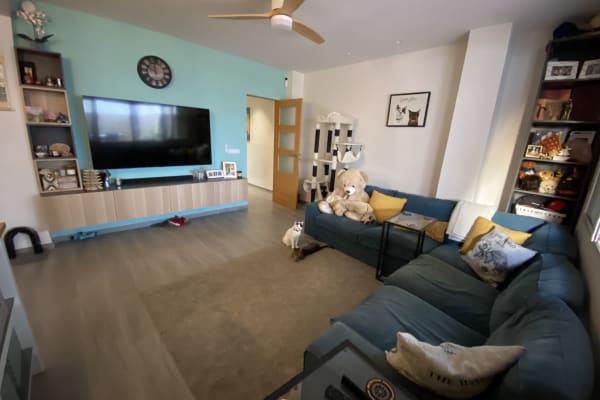 House sit in Valencia, Spain