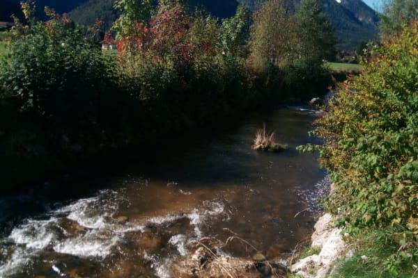 House sit in Inzell, Germany