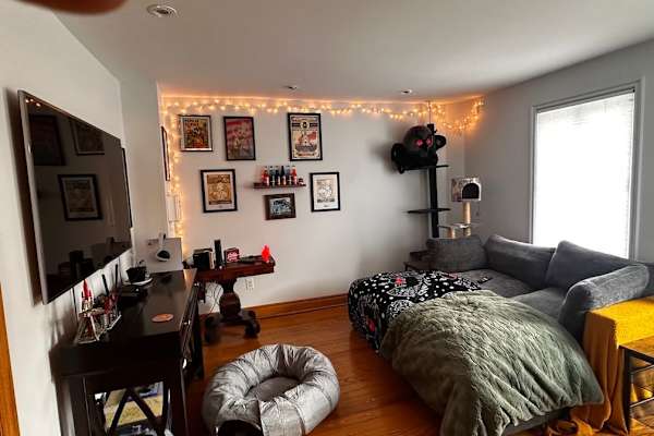 House sit in Ottawa, ON, Canada