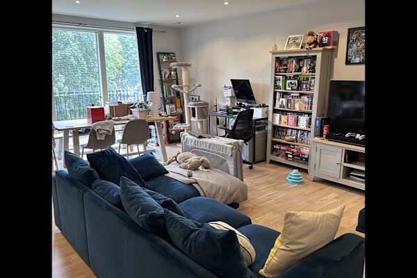 House sit in West Ealing, United Kingdom