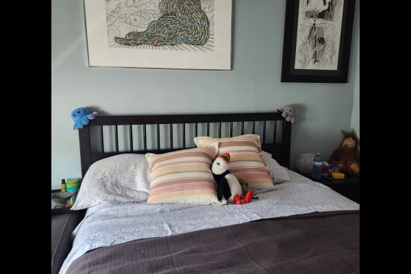 House sit in Toronto, ON, Canada