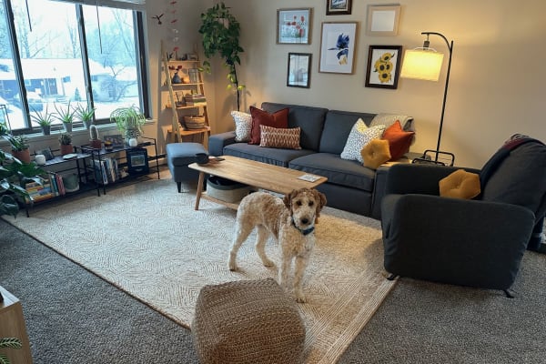 House sit in Ann Arbor, MI, US