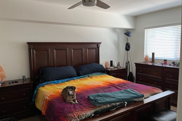 House sit in San Diego, CA, US