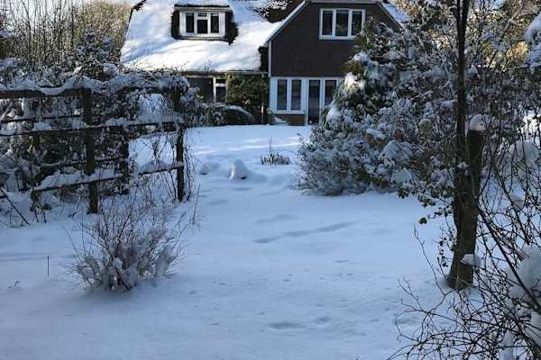 House sit in Wadhurst, United Kingdom