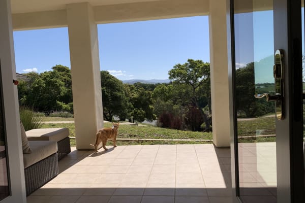 House sit in Salinas, CA, US