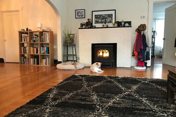 House sit in Bellingham, WA, US