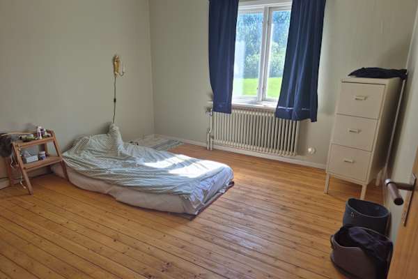 House sit in Lycksele, Sweden
