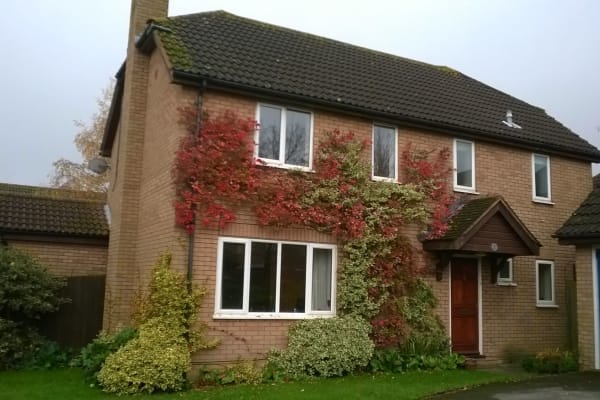 House sit in St Albans, United Kingdom