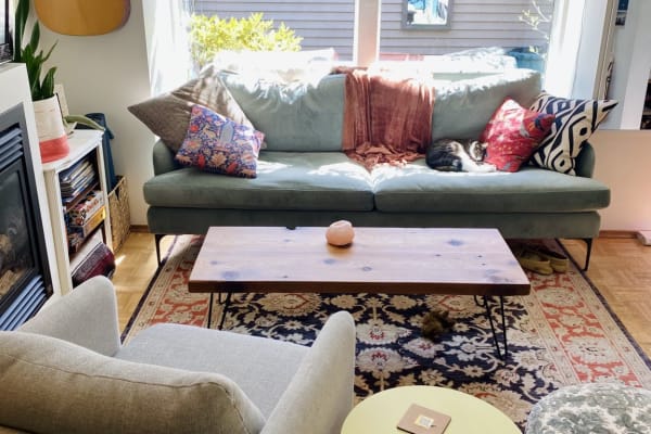 House sit in Vancouver, BC, Canada