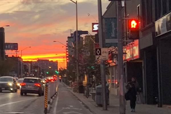 House sit in Toronto, ON, Canada