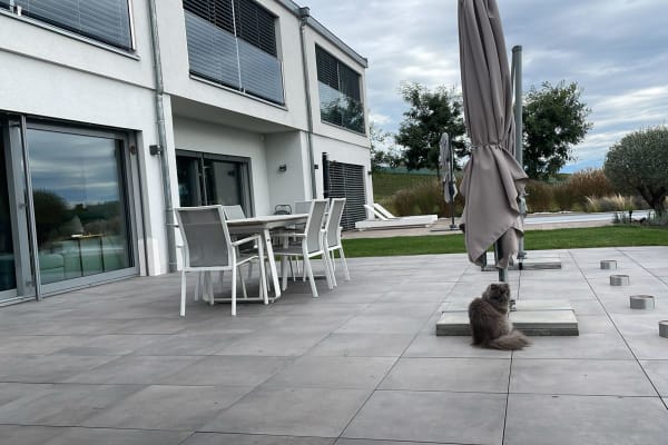 House sit in Lausanne, Switzerland