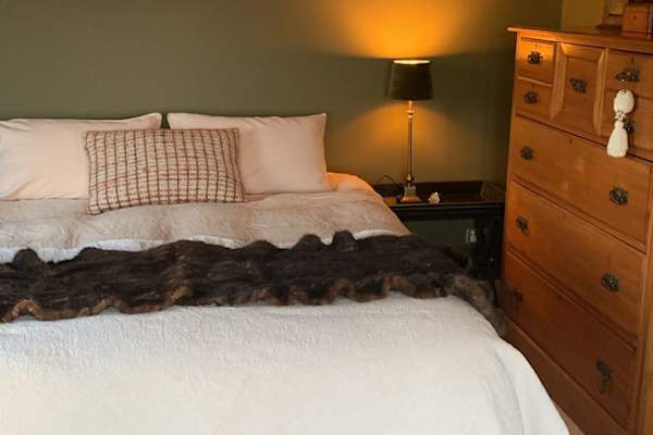 House sit in Mangonui, New Zealand