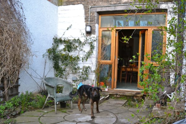 House sit in Edinburgh, United Kingdom