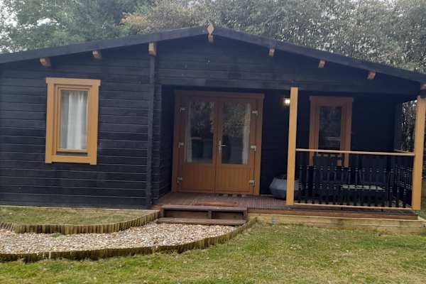 House sit in Luton, United Kingdom