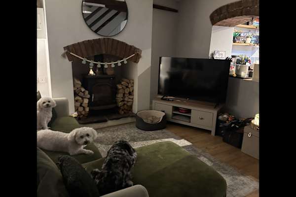 House sit in New Quay, United Kingdom