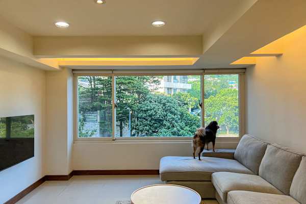 House sit in Taipei, Taiwan