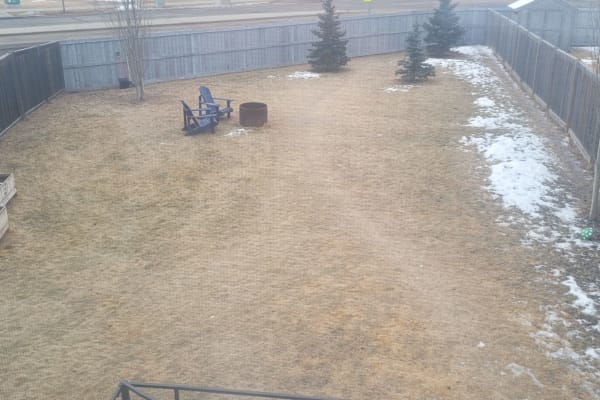 House sit in Fort Saskatchewan, AB, Canada