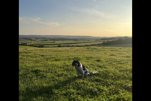 House sit in Chipping Norton, United Kingdom