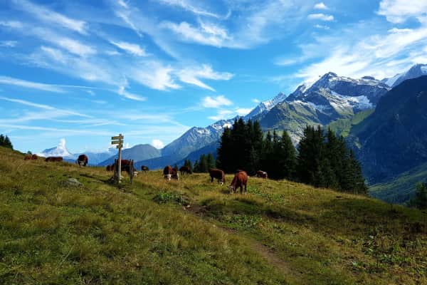 House sit in Saint-Gervais-les-Bains, France
