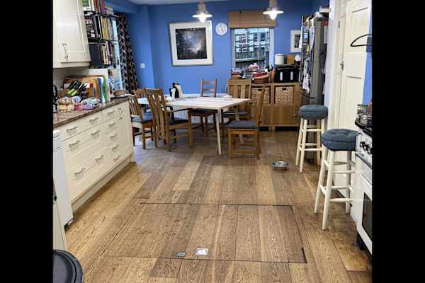 House sit in Guildford, United Kingdom