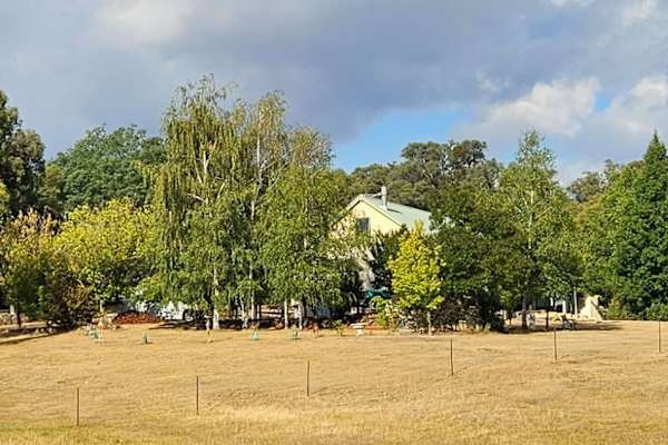 House sit in Mansfield, VIC, Australia