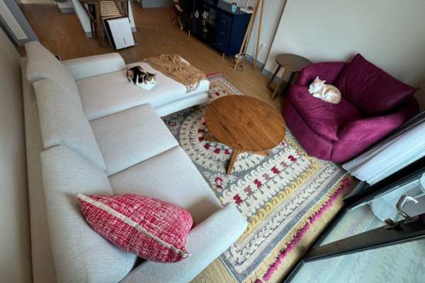 House sit in Jakarta, Indonesia