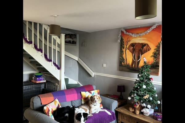 House sit in Paisley, United Kingdom