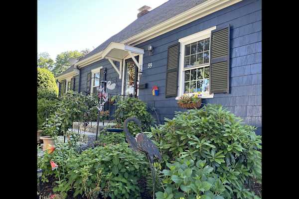 House sit in Needham, MA, US