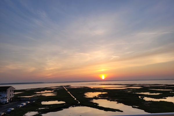 House sit in Ocean City, MD, US