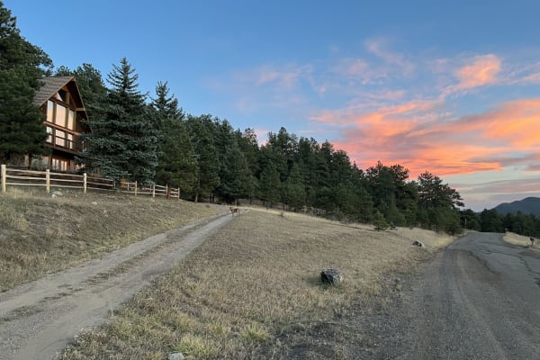 House sit in Evergreen, CO, US