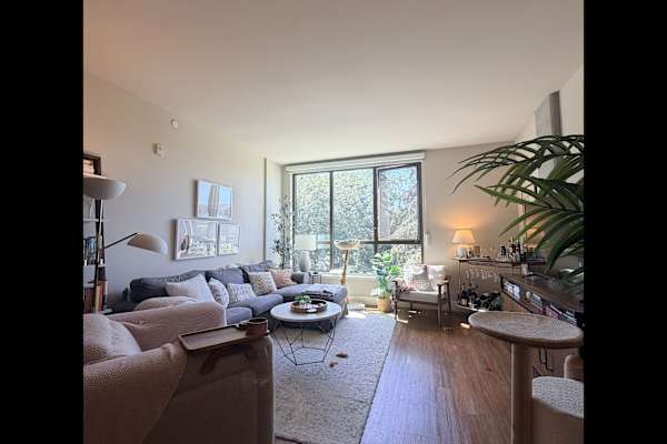 House sit in Redwood City, CA, US