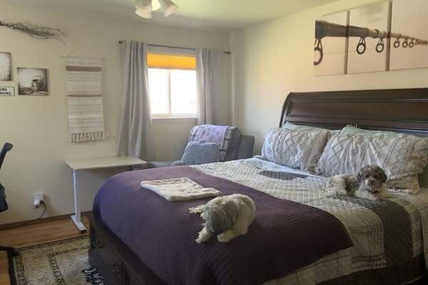 House sit in Montrose, CO, US