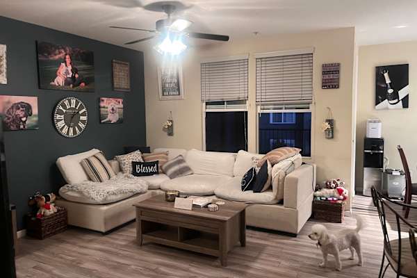 House sit in Anaheim, CA, US