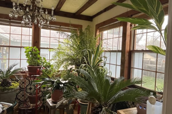 House sit in Washington, D.C., Washington, D.C., US