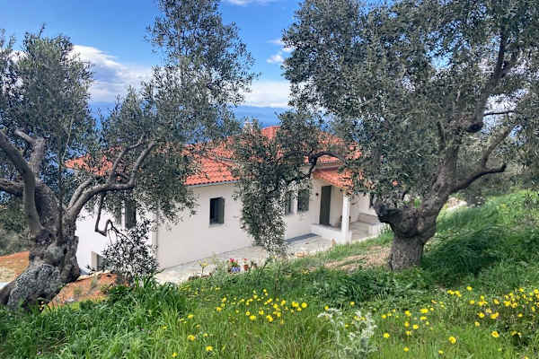 House sit in Argalastí, Greece