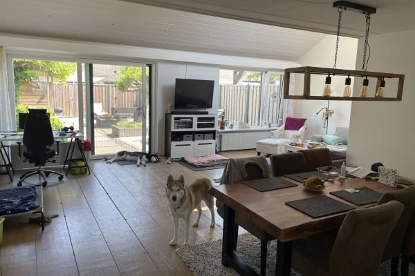 House sit in Almere Stad, Netherlands