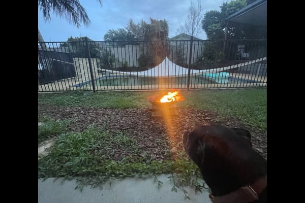 House sit in Cairns, QLD, Australia