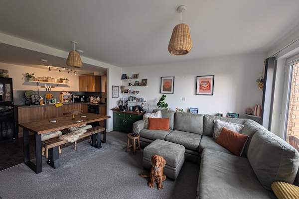 House sit in Edinburgh, United Kingdom