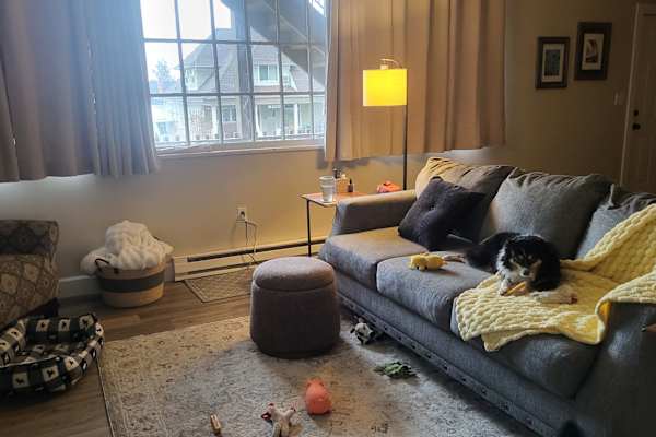 House sit in Spokane, WA, US