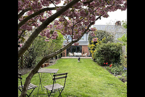 House sit in Colchester, United Kingdom