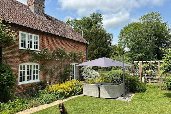 House sit in Newbury, United Kingdom