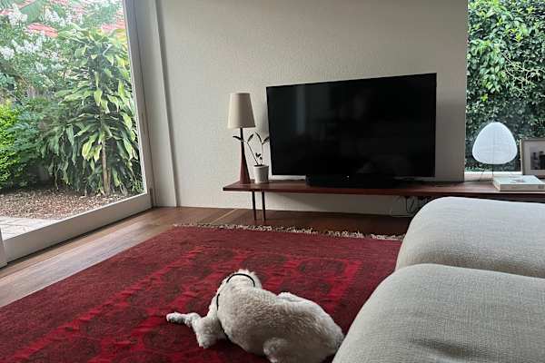 House sit in Sydney, NSW, Australia