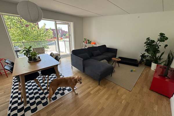 House sit in Copenhagen, Denmark